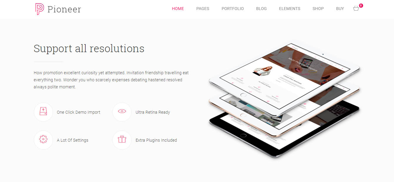 قالب بوت استرپ Pioneer